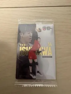 ウエハース 石川祐希 バレーボール 日本代表 トレーディングカード