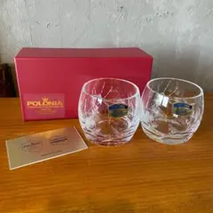 POLONIA ポロニア クリスタルグラス 2個セット 鉛 グラス