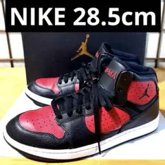 NIKE ジョーダンアクセス 28.5cm 箱あり AR3762-006のサムネイル