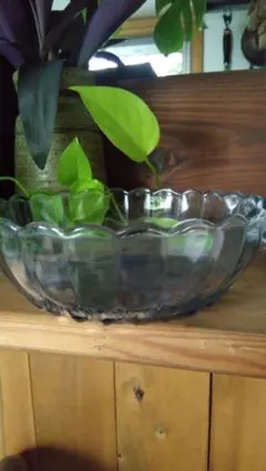 Item thumbnail for item f68fac30-0cd4-487c-98e4-434c38cbb72a