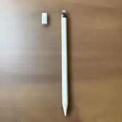 Apple Pencil 第1世代 ホワイト ジャンク アダプター付