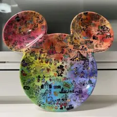 【新品】ディズニーランド　メラミンプレート