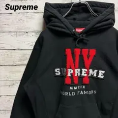 491a【即完売モデル】シュプリーム　パイルロゴ　人気カラー　レア　パーカー