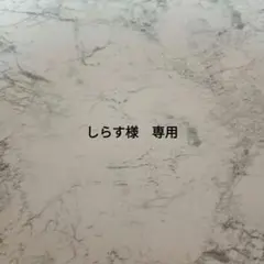 しらす様　専用