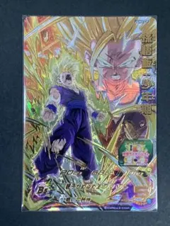 レオ 開封時撮影します様 リクエスト 2点 まとめ商品