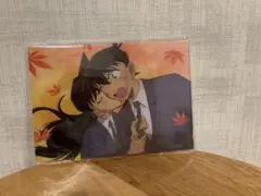 名探偵コナン アクリルスタンド　新一&蘭