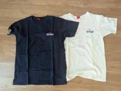 オリオンビール Tシャツ 2枚セット Lサイズ