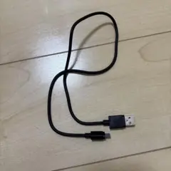 Lightningケーブル USB-A ブラック