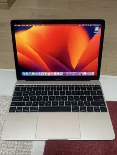 MacBook Retina 12-inch 2017 16GB