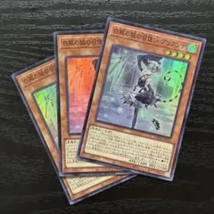 【AE版 匿名配送】白銀の城の召使い アリアンナ　クオシク　25th 泰亜版 AE版 匿名配送】白銀の城の召使い アリアンナ クオシク 25th 泰