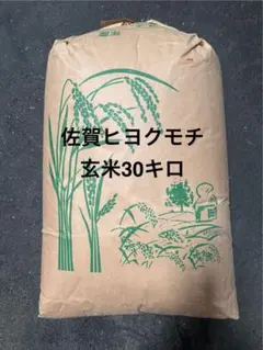 令和7年佐賀産サガビヨリ未検査 30キロ玄米 令和7年佐賀産さがびより未検査玄米30キロ - メルカリ