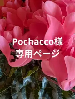 ラボット服　LOVOT　ハンドメイド　和柄6　Pochacco様専用ページ