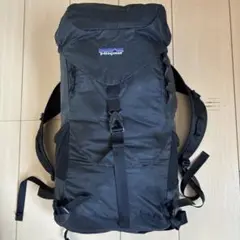 最終値下げ】Patagonia ライトウェイト36L 2WAY 廃番 - メルカリ
