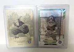 ドラゴンボールダイバーズ 孫悟飯：青年期N★パラレル 40th アドバンスパック