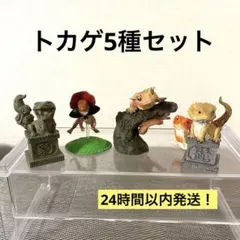 爬虫類 ミニチュア フィギュア 5種セット