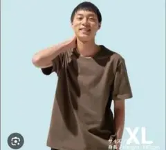 ファミリーマートtシャツブラウンXL