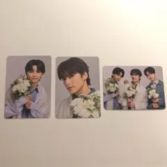 ワンエントレカ3枚セット