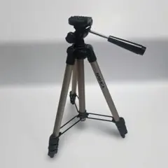 Item thumbnail for item 95e82cbf-7681-4f6a-aeab-833de9bf47f5