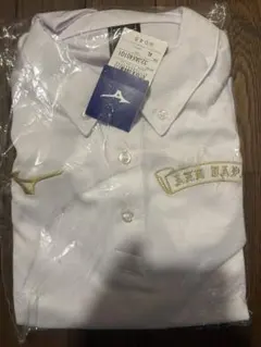 Item thumbnail for item 96152f0e-8a8c-405d-b5ec-05d6e4a83d29