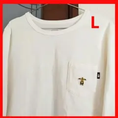 ノースフェイス長袖Tシャツ　ノースフェイス長T　ノースフェイスコットンT