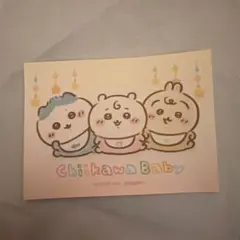 Chiikawa Baby ノベルティ ステッカー