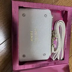 Hey! Say! JUMP 10th Anniversary Wallet