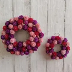 千日紅のリース　２個セット