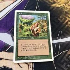 ⭐︎フォロワー割開催中⭐︎ MTG / 繁茂