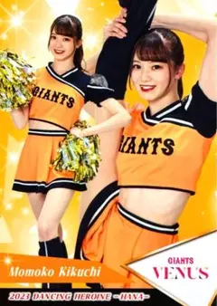菊池桃子 VENUS レギュラーカード BBM 2023 チアリーダー 華
