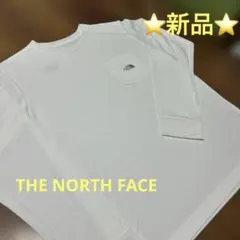 ザノースフェイスTシャツ