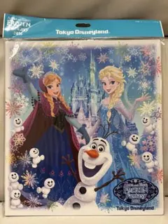 東京ディズニーリゾート Frozen Fantasy アナと雪の女王 色紙