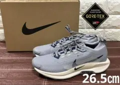 2025年最新】ナイキ ペガサス トレイル 5 gore-texの人気