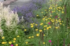 Michiko Murata様 リクエスト 2点 まとめ商品