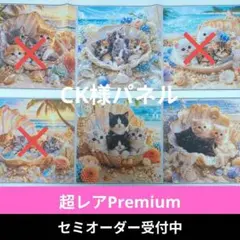 ♡セミオーダー受付中♡　シェルinにゃんこ　猫　804　超レアPremium