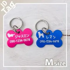 Item thumbnail for item bd23633b-46ce-4e91-9fad-2b7290e92652