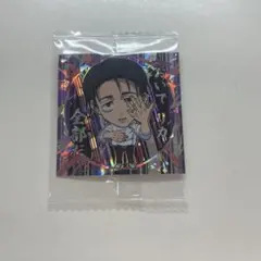 을골 우타 웨이퍼 카드 홀로그램 특급 희귀 극