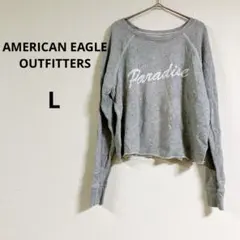 AMERICAN EAGLE OUTFITTERS【L】グレー スウェット