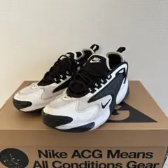 NIKE zoom 24.5