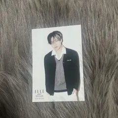 TREASURE ELLE JAPON 2025 1月号増刊 特典