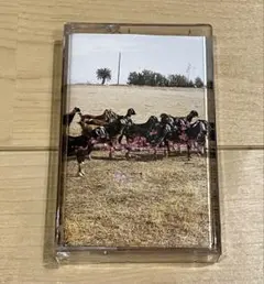 All Neck / Get Plished TAPE テープ