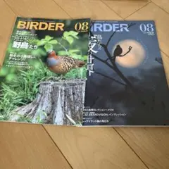 BIRDER 08月号 野鳥と夜の野鳥　2冊