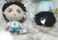ハイキュー 岩泉一 もちマス セガくじ ぬいぐるみ