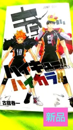 ハイキュー!! 公式カラーイラスト集 ハイカラ!! 新品未開封