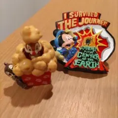 東京ディズニー センターオブジアースマグネット チップ&デール