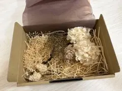 Item thumbnail for item 2d0a2f35-b2bb-4d88-a91f-f7ab349a06cc