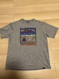 Patagonia キャプリーンクールデイリー　Mサイズ