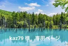 kaz79 様　専用ページ