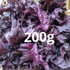 赤しそ　赤紫蘇　200g. 302のサムネイル