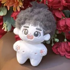 2026年最新】exoぬいぐるみの人気アイテム - メルカリ