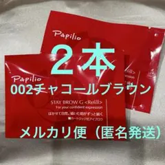 新品未開封〈リフィル〉 ×2本〈◇002チャコール〉パピリオ ステイ